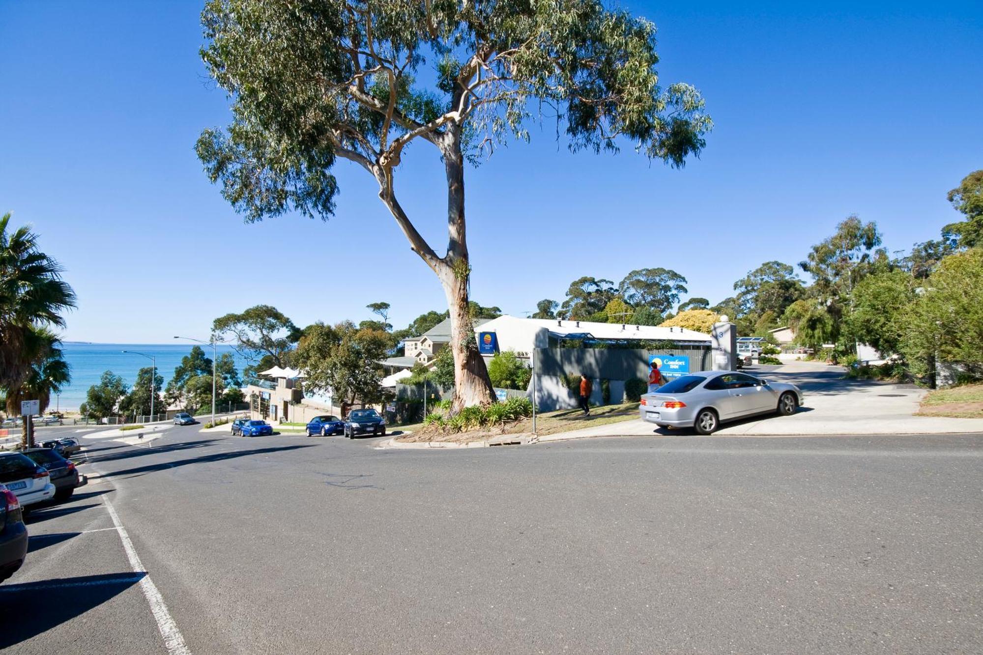 Lorne Bay View Motel Kültér fotó